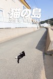 ^Cg